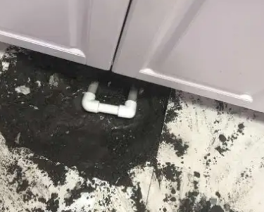 定西查漏水哪家好